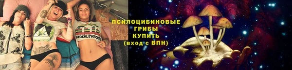 мескалин Каменка