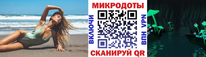 Купить закладки  Большой Камень  Псилоцибиновые грибы Psilocybine cubensis 